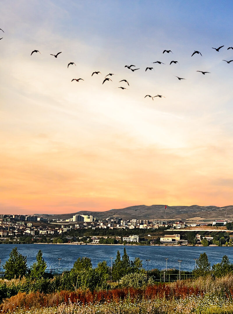 Evinizden Manzaralar